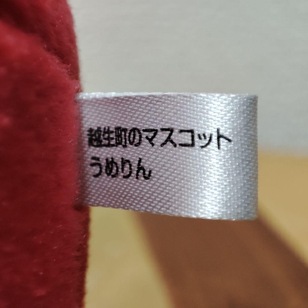 うめりん　ぬいぐるみ　（大）　越生町　マスコットキャラクター　ご当地キャラ