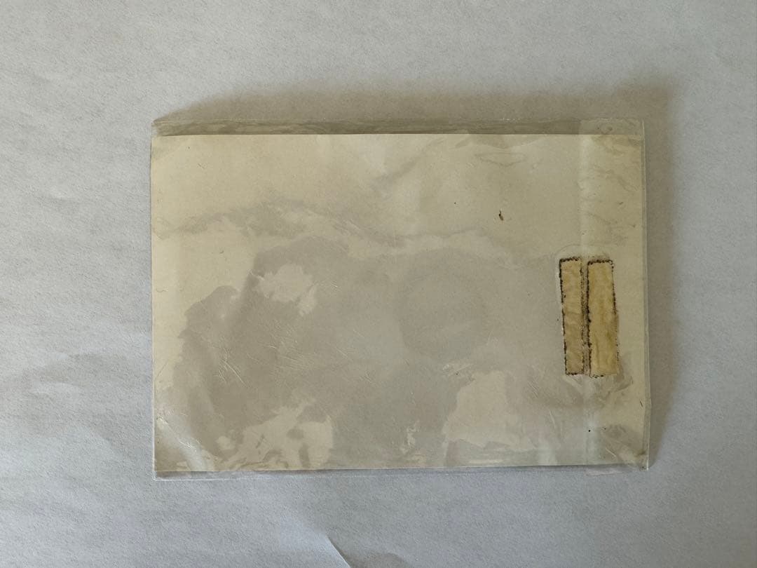 【非売品】ブルーハーツ集団　解散号付録  ピンバッチ&生写真風カード【袋付き】