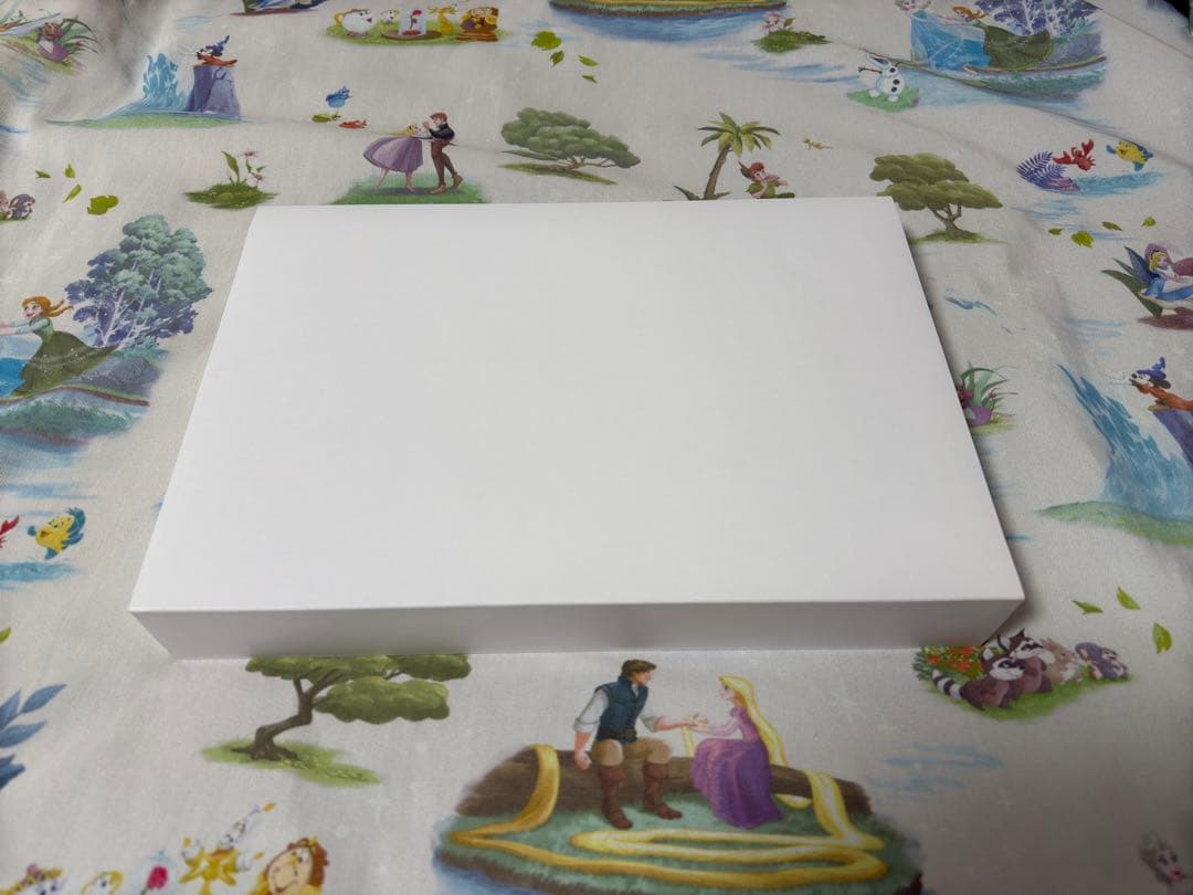 再値下げ【美品＋特典付き】\"アナとエルサのフローズンジャーニー\" アートフレーム