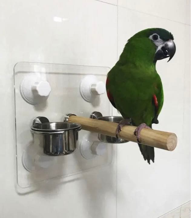 アクリル板止まり木セット 小型 中型 大型インコ兼用 風呂場 車窓 備長炭