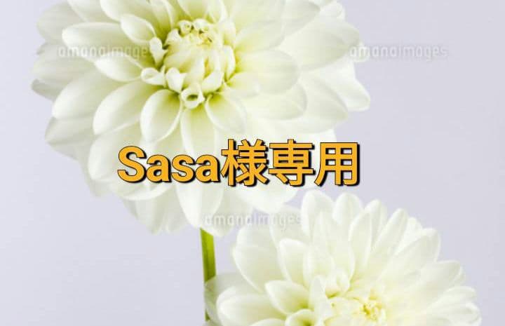 Sasa【RIZINステッカー】朝倉未来 シェイドゥラエフ 斎藤裕 ヒロヤ