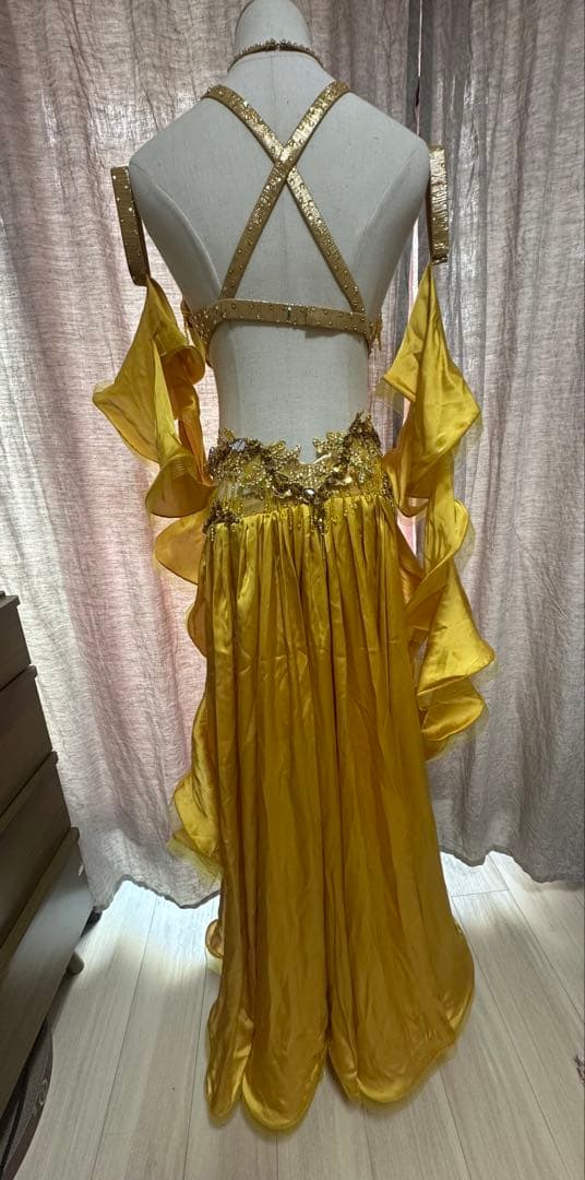 波　オーダー豪華衣装　新品　ベリーダンス　4点セット