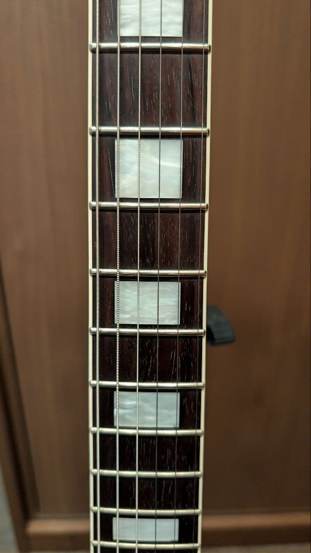 【値下げしました】FGN NLC100 / レスポールカスタムDuncan PU