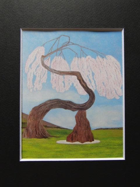 宮本玄雲、【老木　臥竜枝垂姫櫻】、希少な額装用画集より、美品、新品額装付