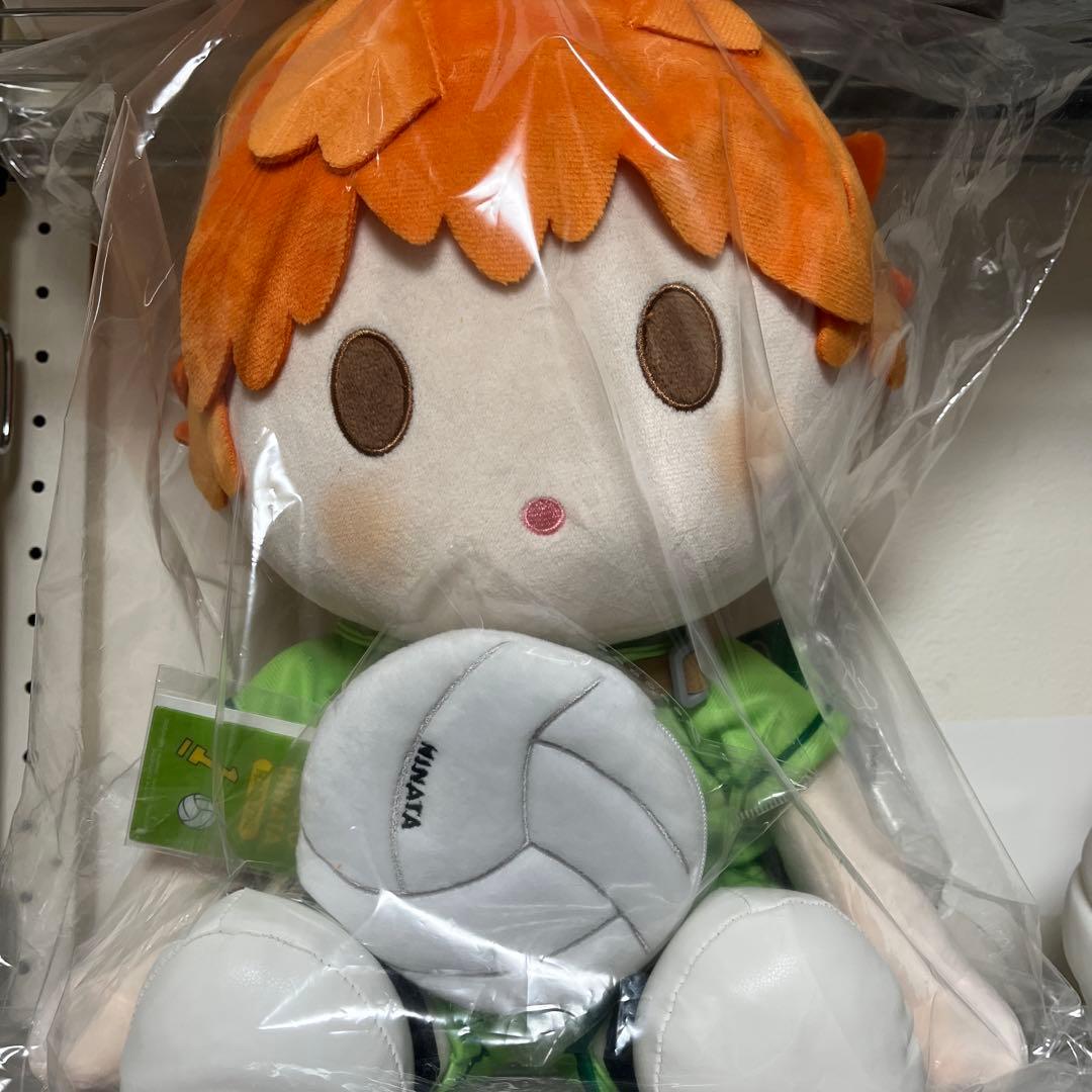 ハイキュー‼︎ 日向翔陽