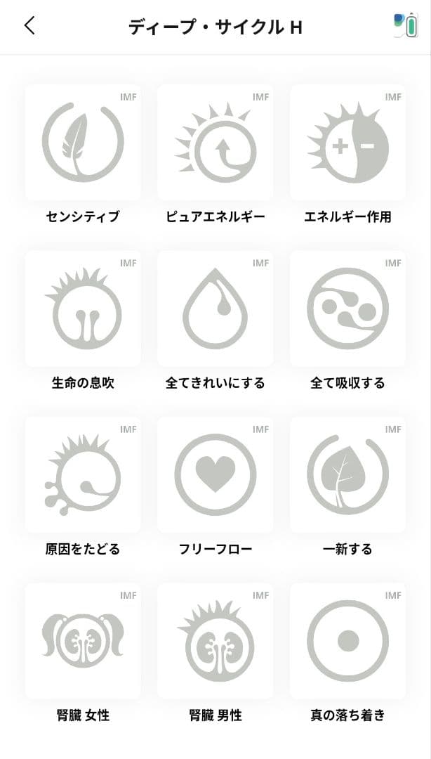 【新品未使用•未開封】定価558,800円　ヒーリープロフェッショナル＋コイル