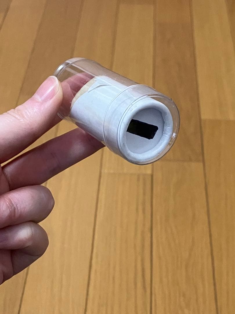 【記名塗りつぶし有】ブラックスワンプ タンバリンTS1 クロームジングル