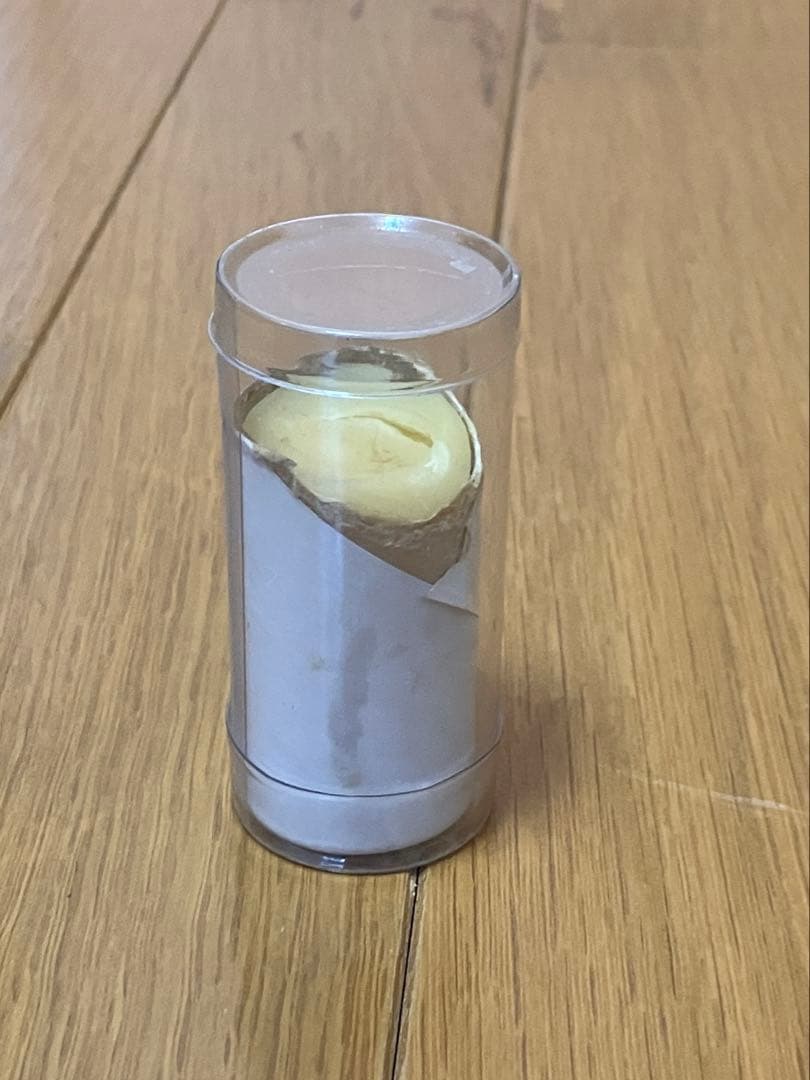 【記名塗りつぶし有】ブラックスワンプ タンバリンTS1 クロームジングル