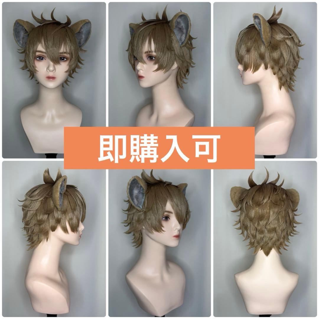 【即購入⭕️】 ツイステ ラギー・ブッチ コスプレ Dハロ セット済ウィッグ