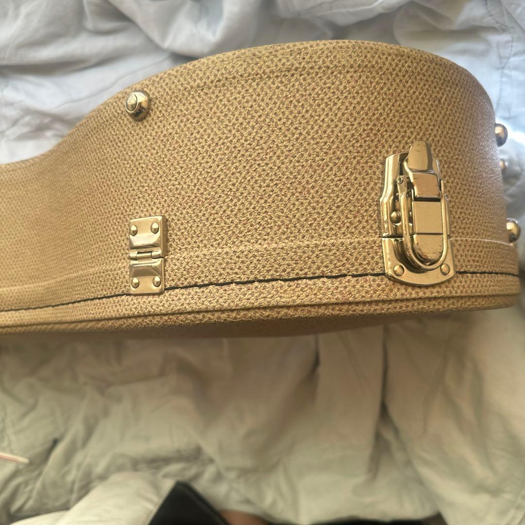 Cole Clarkアコースティックギター ハードケース付き