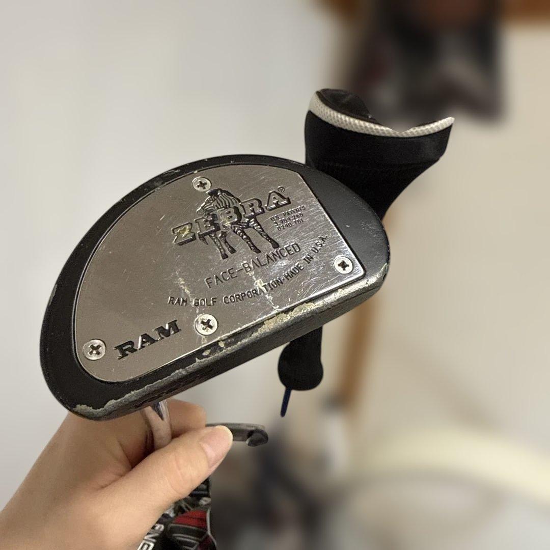 Zebra パター ステンレススチール製