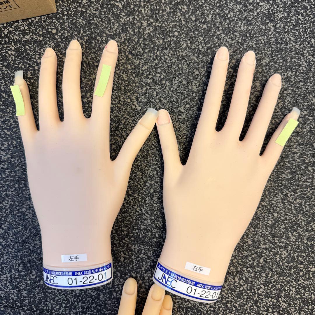 ネイル検定用ハンド　滝川 STモデルハンドセット2、練習用ハンドセット2、