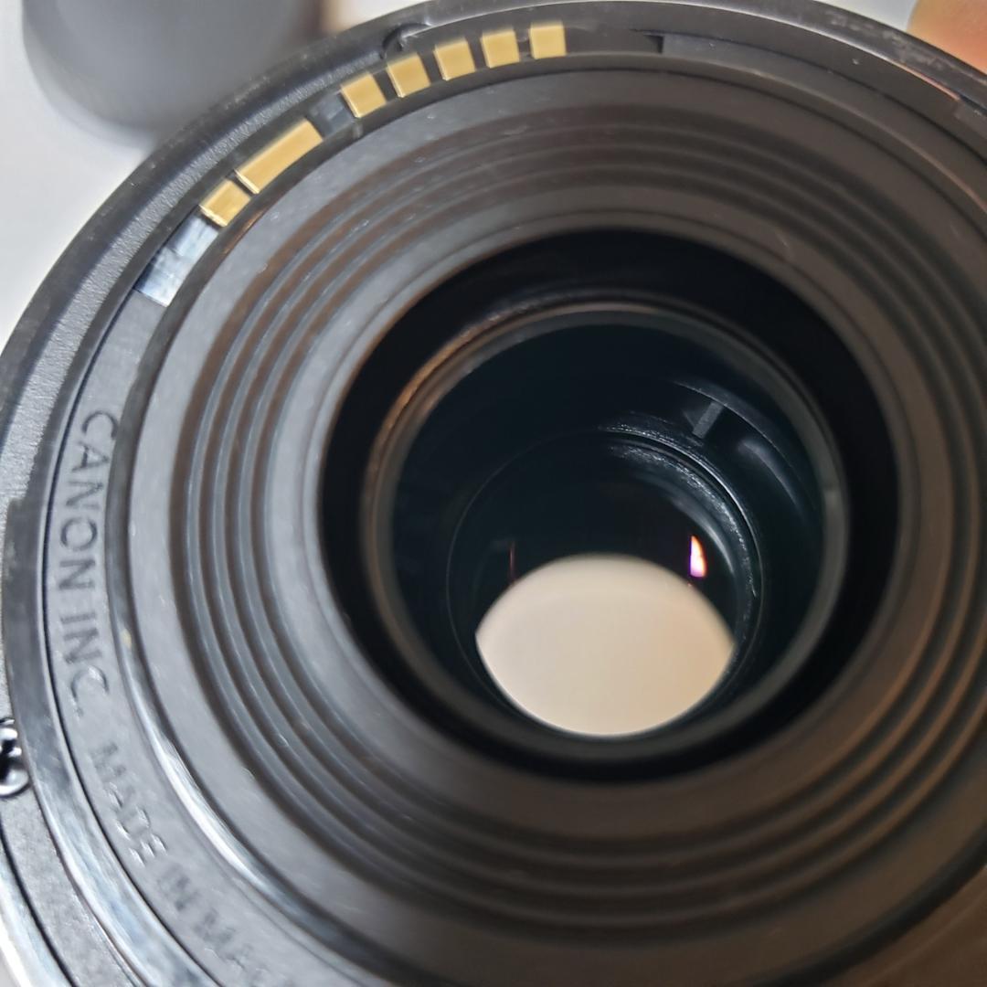 ★Canon EOS 8000D + EF-S 55-250mm IS STM