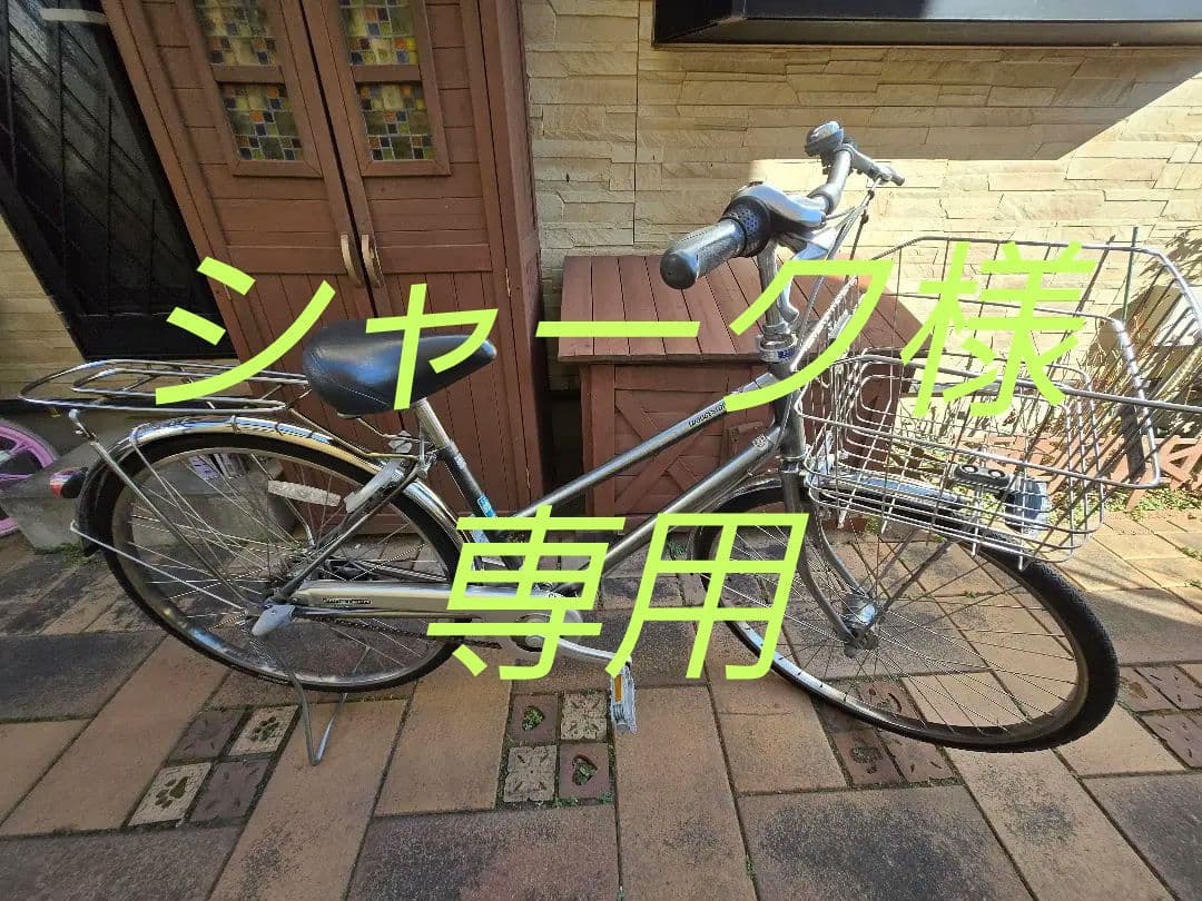 通学　ブリヂストン　ロングティーンDX