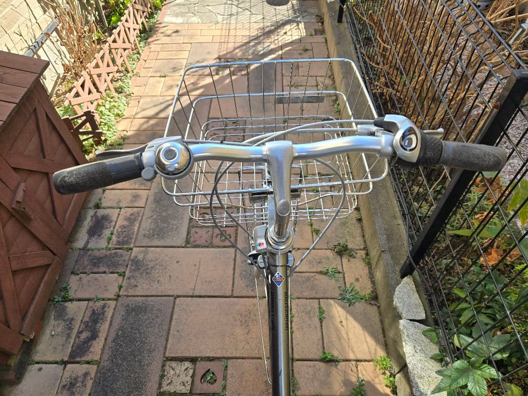 通学　ブリヂストン　ロングティーンDX