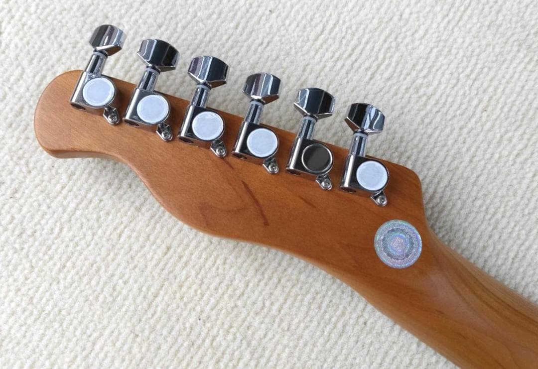 ✨未使用✨ BUCCHUS バッカス テレキャスター サーフグリーン