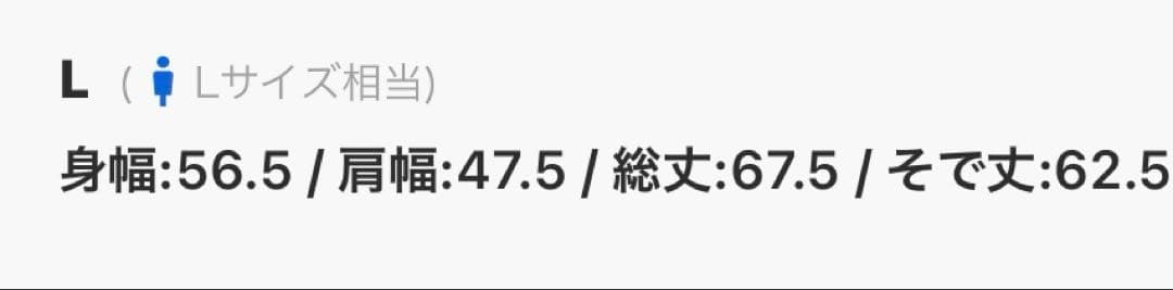 【BRIEFING 】 ブリーフィング　ゴルフ　セットアップ　美品サイズL