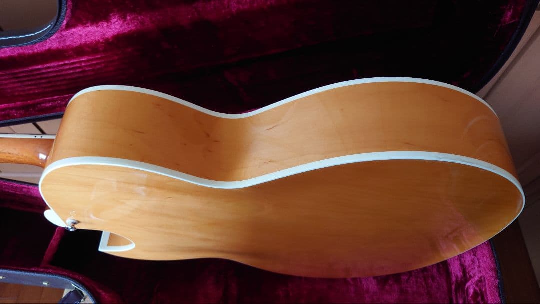 TOKAI FA-245 トーカイ フルアコ 21年製