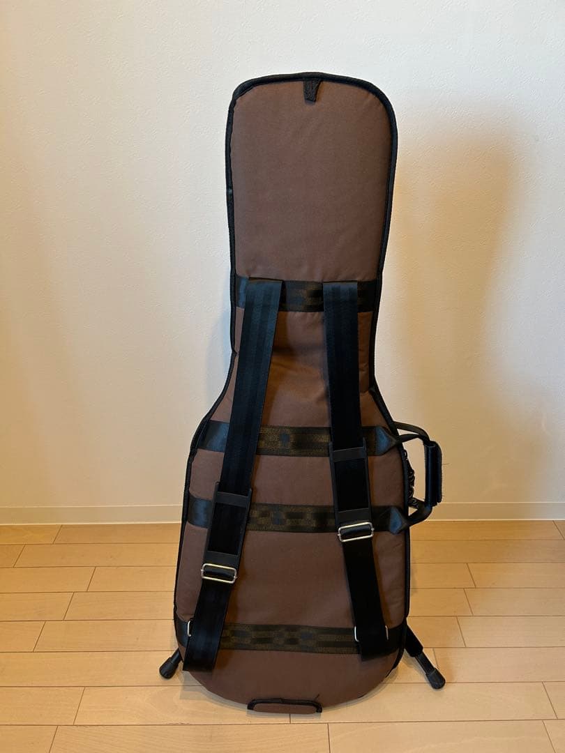 Vanzandt STV-R2 マダガスカルローズ指板