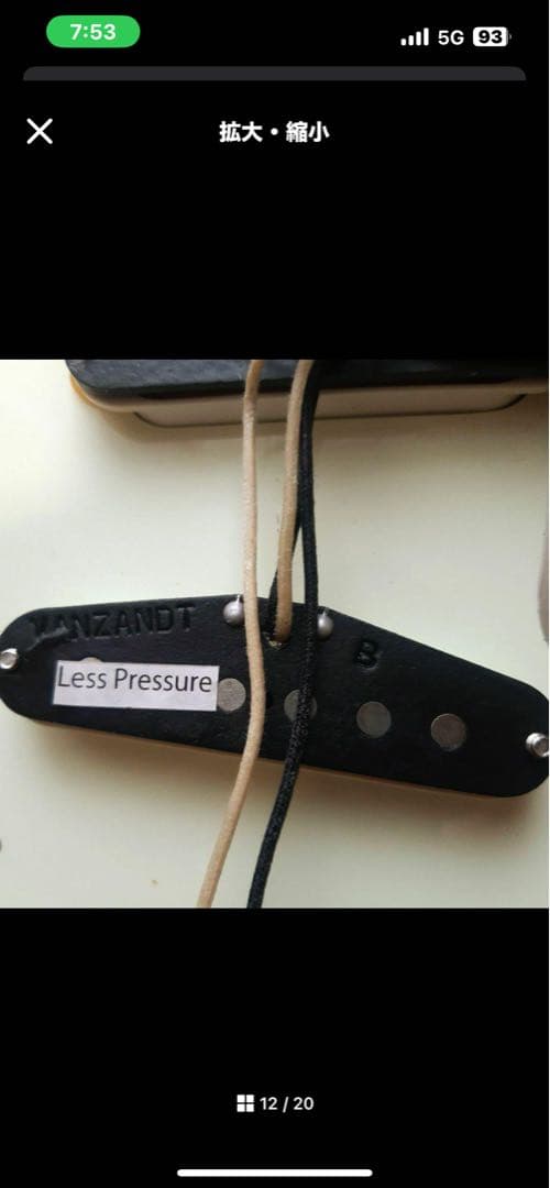 Vanzandt STV-R2 マダガスカルローズ指板