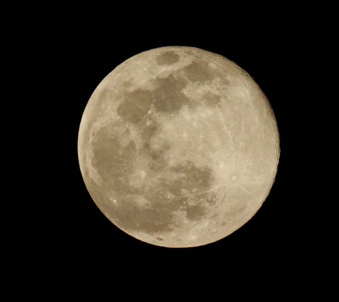 美品　Nikon COOLPIX P900 SDカード64GB付き