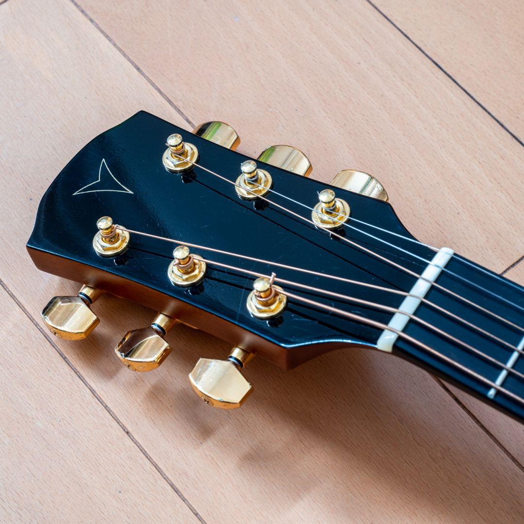 ヤイリギター 80thモデル trinity