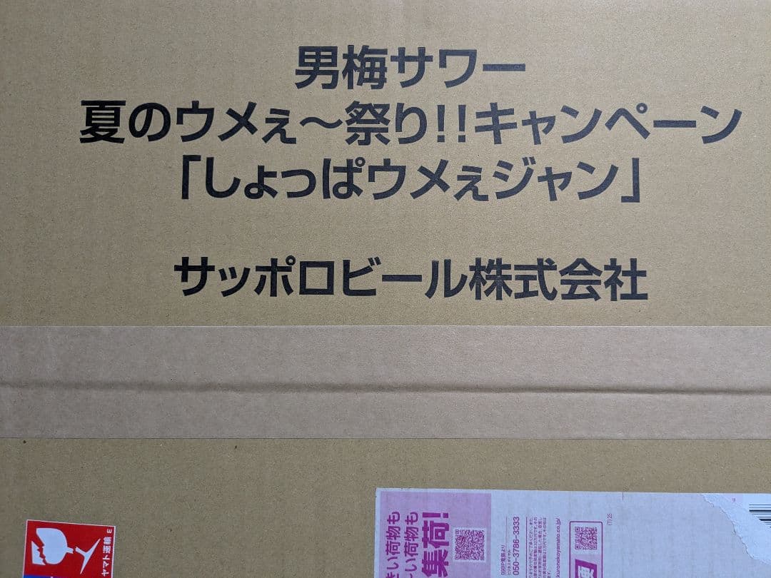 価格を下げました　しょっぱウメェジャン 赤白ジャケット