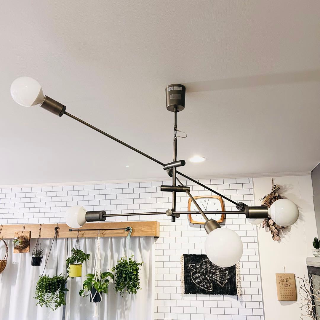 DI CLASSE Cardinal 6灯 ペンダントライト