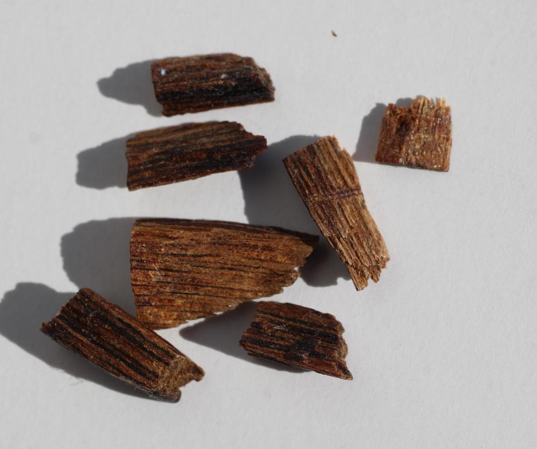 香木 古渡命銘木 「初音」約0.3g 小分け沈香 伽羅 奇南 奇楠 お香 香道