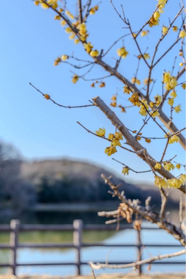 EOS R ボディ/動作良好/防湿庫保管/フルサイズミラーレス　初めての方に！