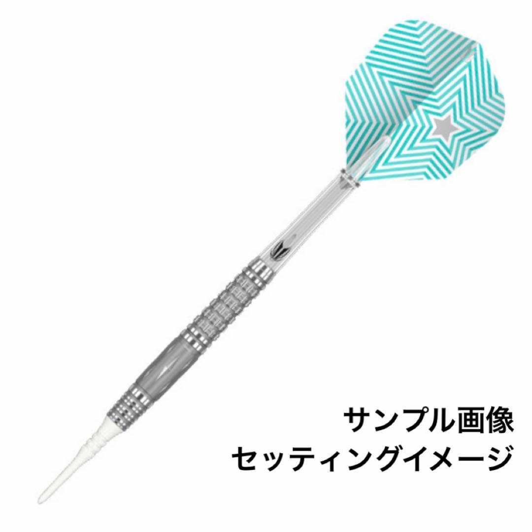 【ターゲット】ザ ミラクル47 鈴木未来プロモデル 18g 定価14055