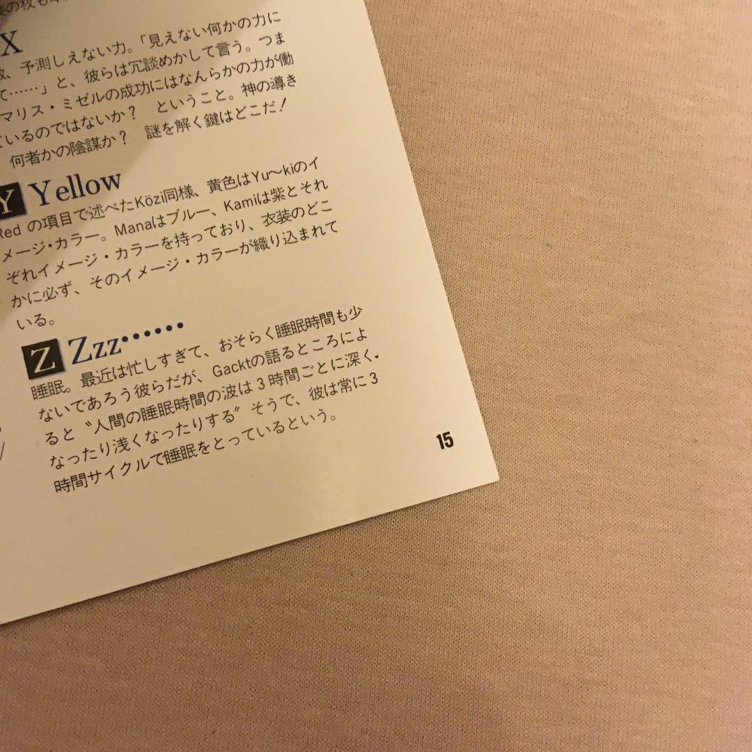 マリスミゼル　フライヤー