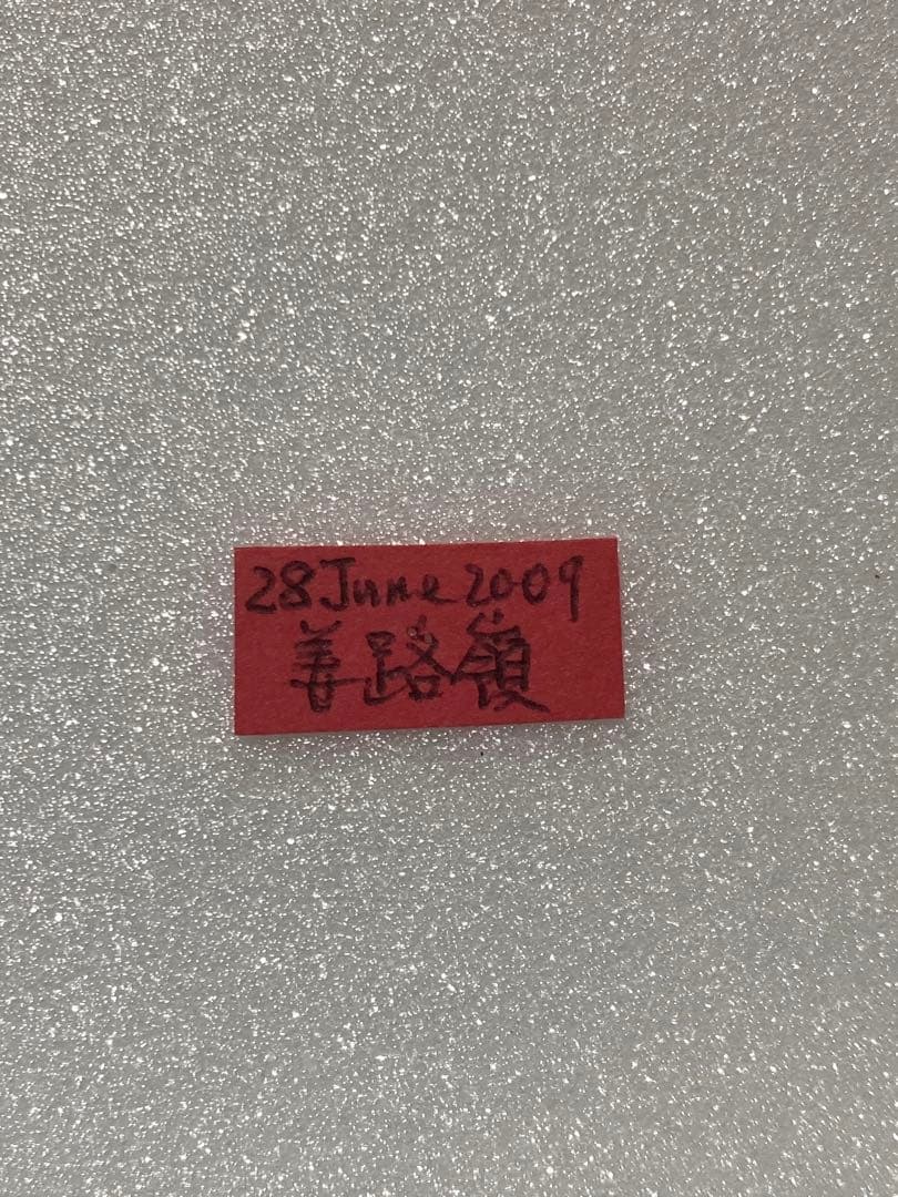 P.simo（1メス、中国青海省）