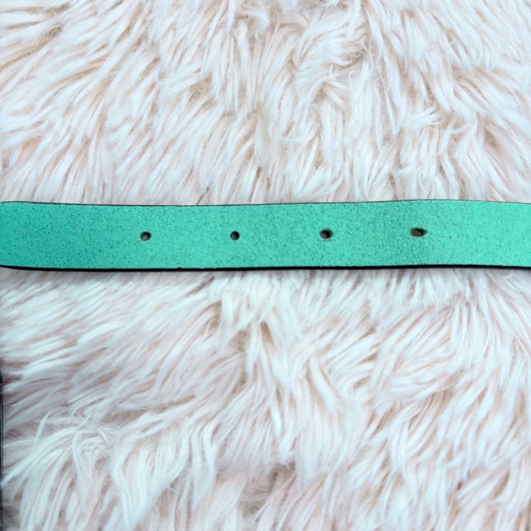 未使用級✨Tiffany レザー首輪 M プレート 金具 4段調整