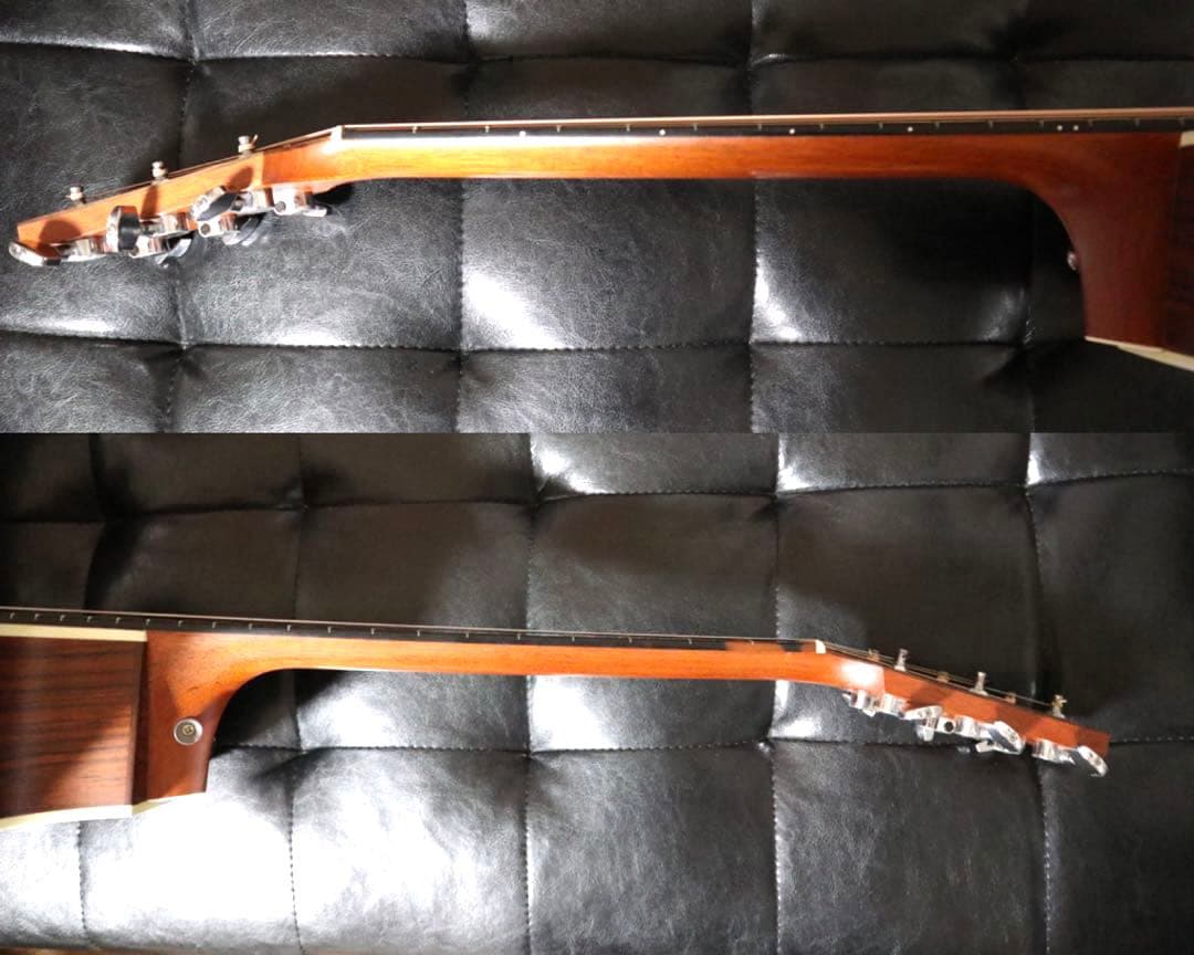 【送料込み】Taylor 214ce ES2 エレアコ 本革ストラップ ケース