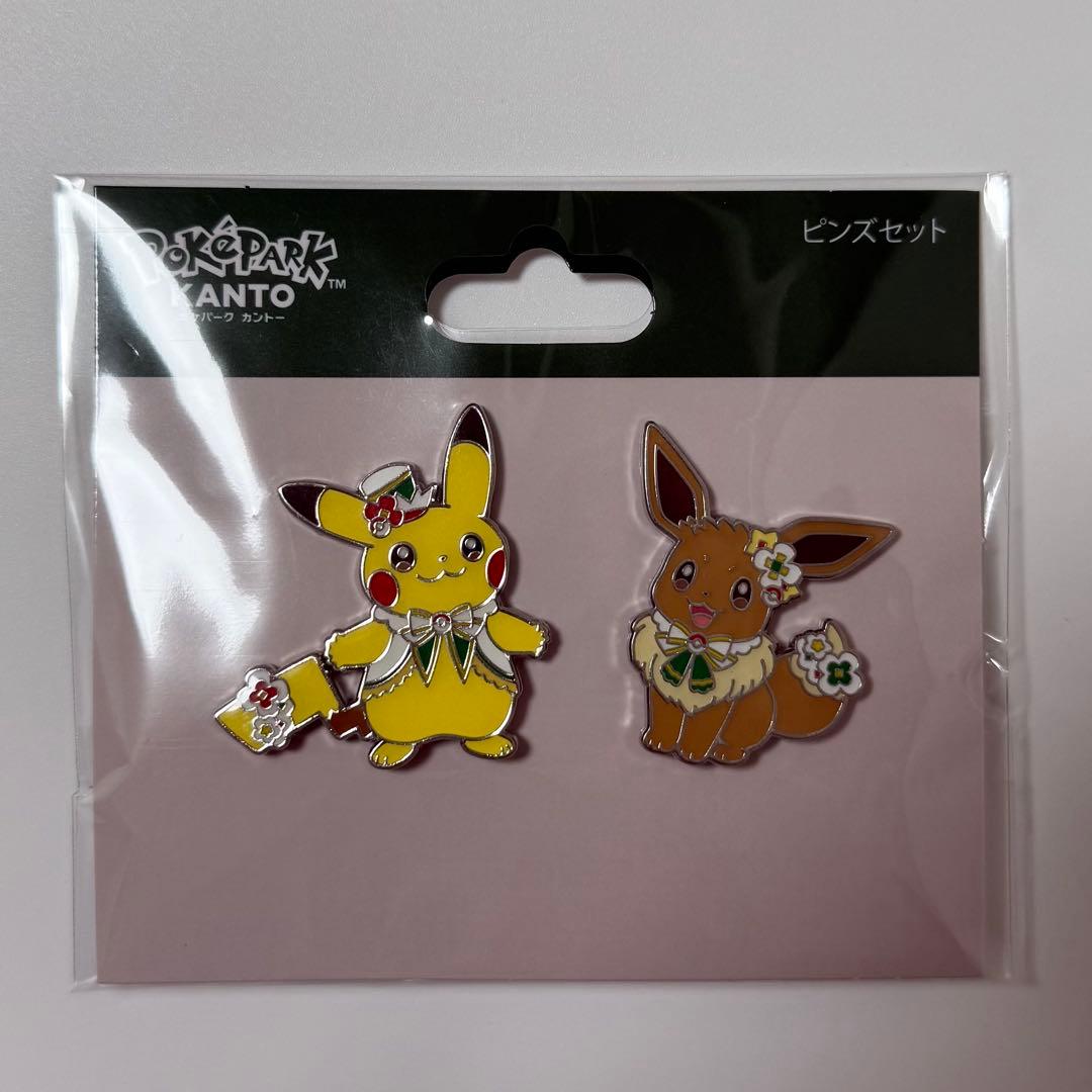 ポケパーク カントー ピカチュウ まとめ売り