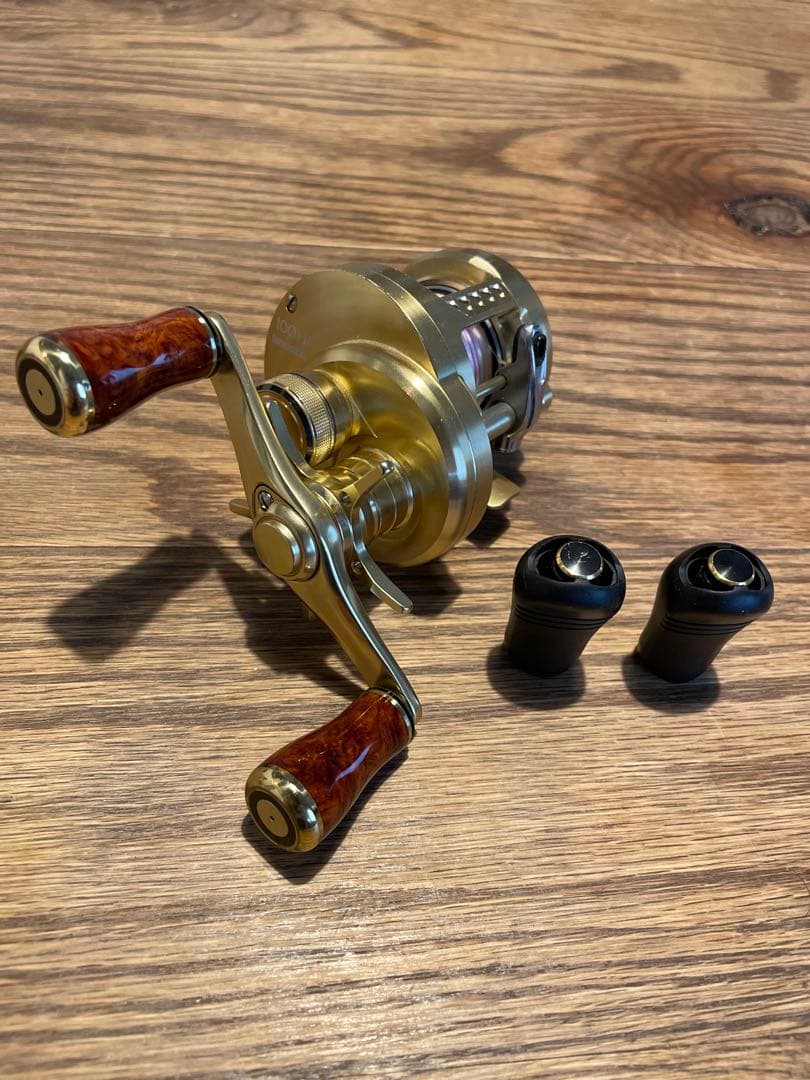 15 カルカッタコンクエスト 100 HG