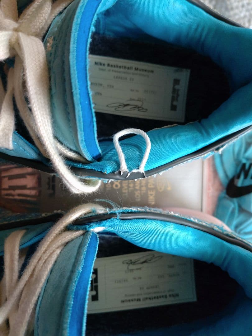 最終値下げ！NIKE レブロン20 オールスター 26cm