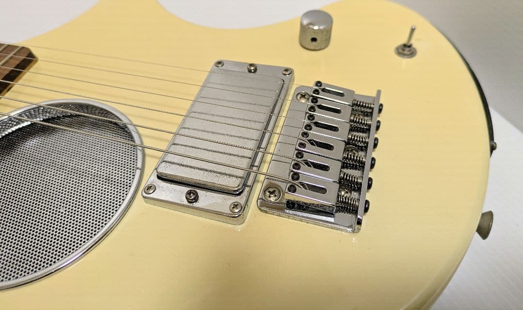 FERNANDES フェルナンデス DIGI-ZO アンプ内蔵エレキギター