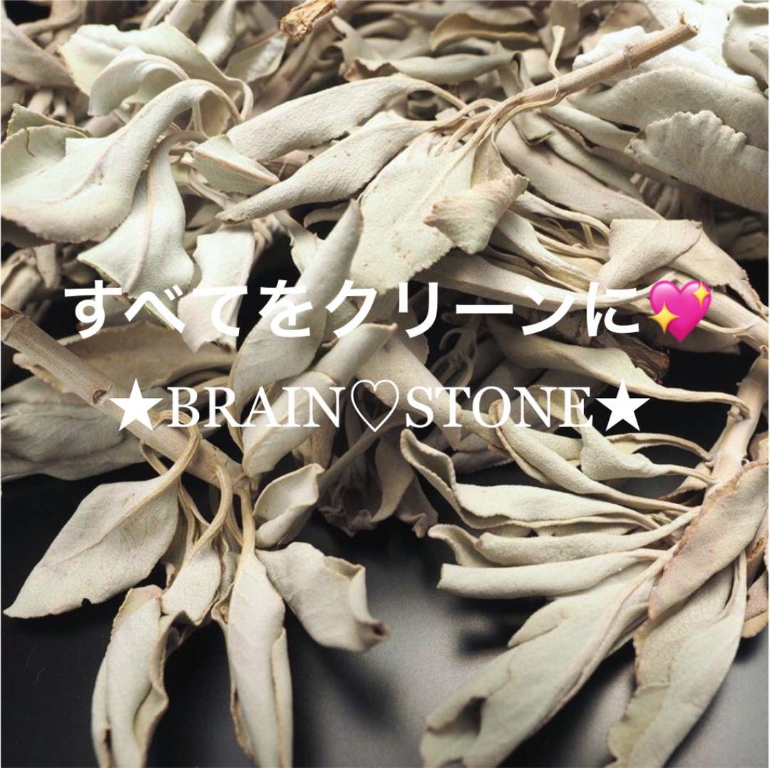 ★限定特選品★無農薬カリフォルニア産【箱配送５０g 高品質ホワイトセージ】❤️