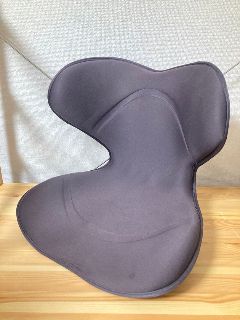 ☆良品！！ スタイルスマート MTG Style SMART 骨盤矯正 姿勢矯正