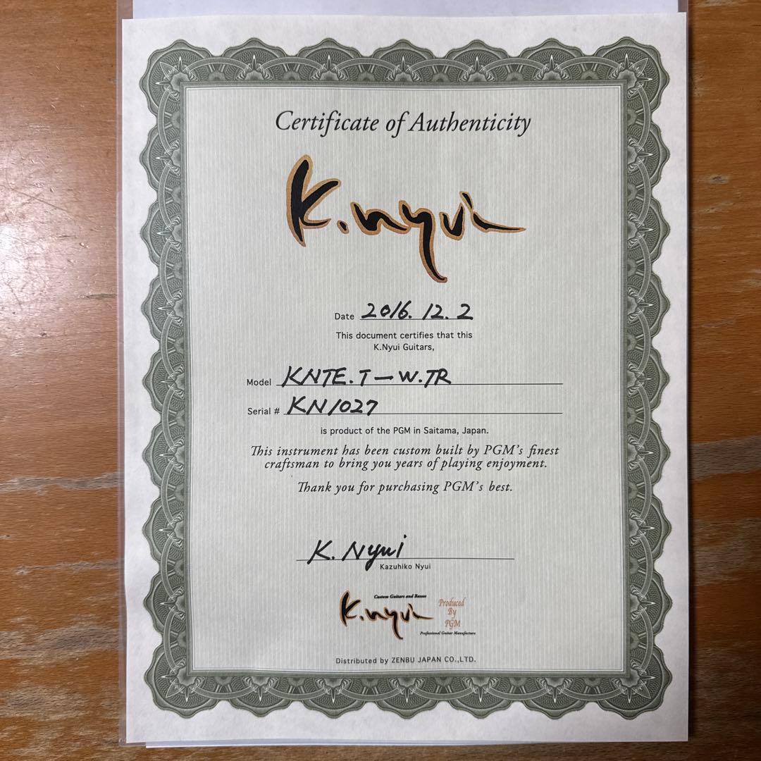 ギター K.nyui Telecaster Thinline