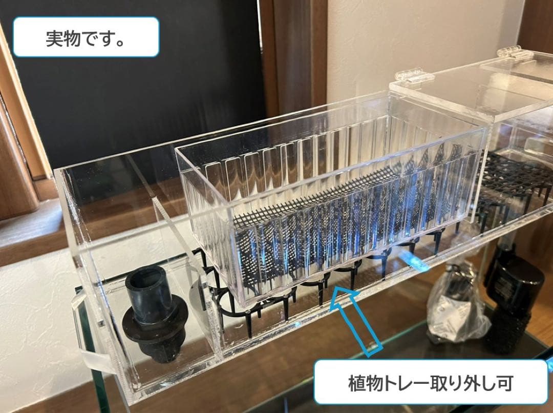 【格安】上部濾過アクアリウム水槽　アクアポニックス（観葉植物）仕様