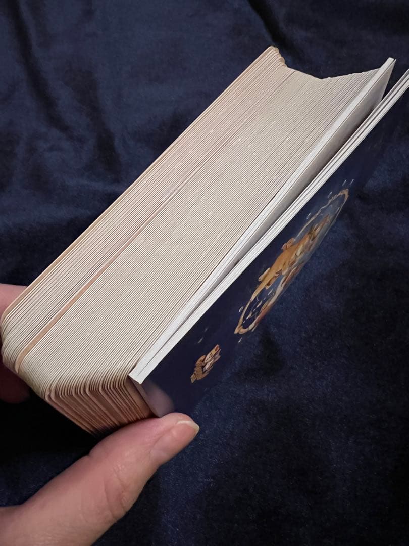 小動物と美食のタロットカード 78枚＋2枚　Maruco Art