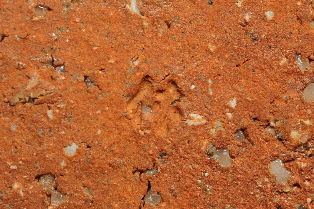 十一代 三輪休雪 萩 喰篭 共箱 人間国宝 休雪 壽雪 萩焼 食籠