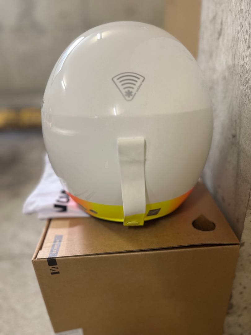 スキー ヘルメット SALOMON レーシング FIS対応