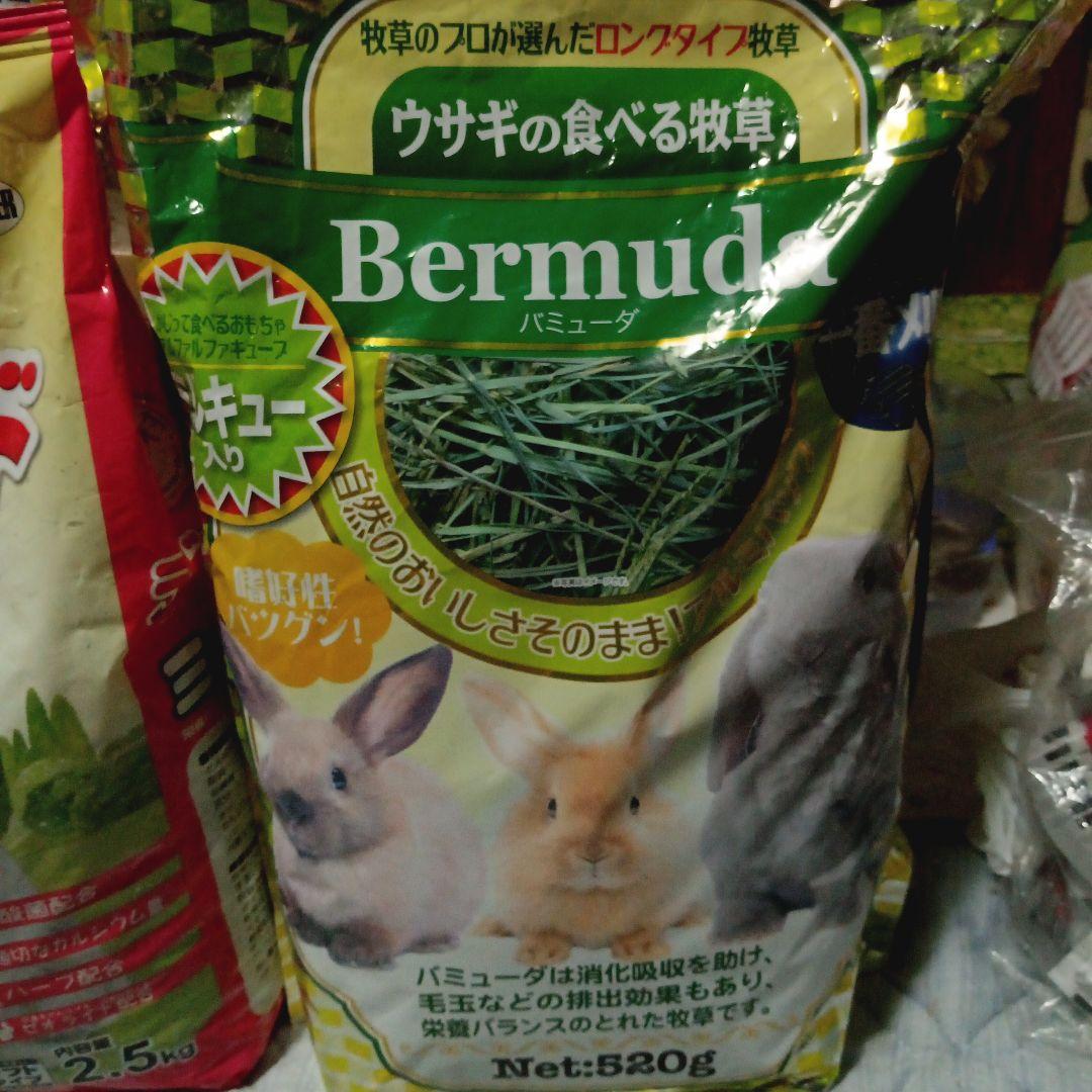 リス・ハムスターのえさ