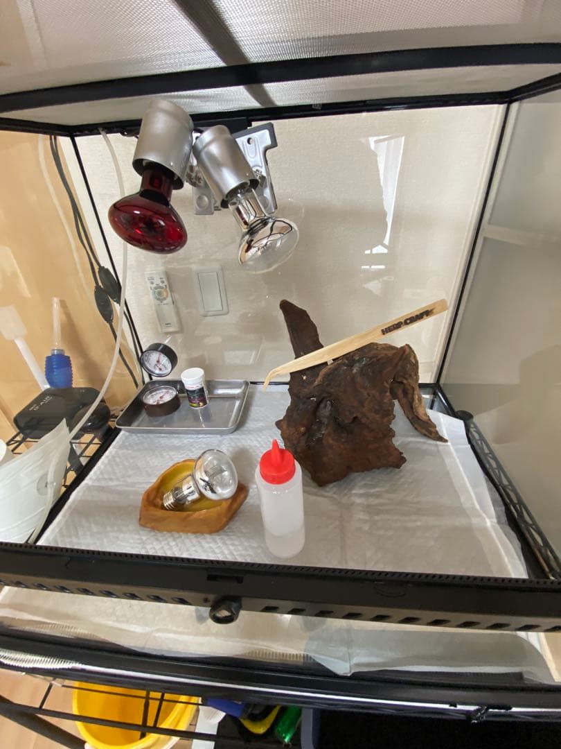 エキゾテラ6045 東広島市　とまさん専用