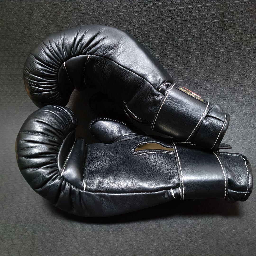 東京堂 インターナショナル 日本拳法グローブ