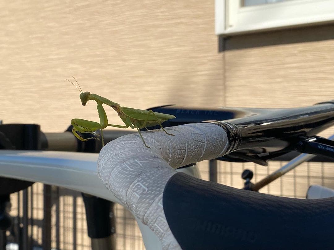 SPECIALIZED TARMAC SL7 完成車